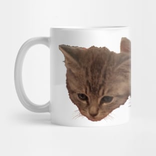 Baby Baxter and Jelly Bean - Cute Kittens Mug